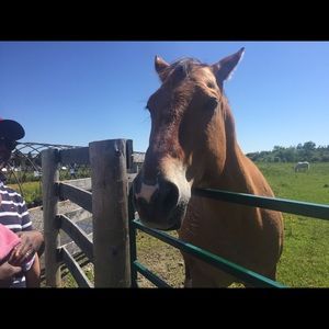 Meet your Posher, Krysten